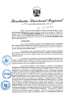 Vista preliminar de documento RDR N° 738-2022