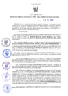 Vista preliminar de documento RES-306-2022-GRDS