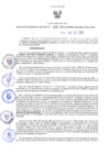 Vista preliminar de documento RES-309-2022-GRDS