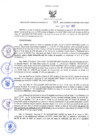 Vista preliminar de documento RES-317-2022-GRDS
