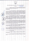 Vista preliminar de documento Resolución Gerencial Sub Regional N° 00010-2012