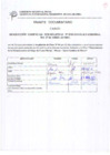 Vista preliminar de documento Resolución Gerencial Sub Regional N° 00203-2011