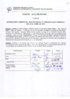 Vista preliminar de documento Resolución Gerencial Sub Regional N° 00208-2011