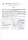 Vista preliminar de documento Resolución Gerencial Sub Regional N° 00218-2011