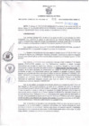 Vista preliminar de documento Resolución Gerencial Sub Regional N° 00311-2015