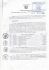 Vista preliminar de documento Resolución Gerencial Sub Regional N° 00205-2016