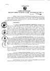 Vista preliminar de documento Resolución Gerencial Sub Regional N° 00057-2017