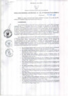 Vista preliminar de documento Resolución Gerencial Sub Regional N° 00076-2017