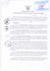 Vista preliminar de documento Resolución Gerencial Sub Regional N° 00001-2018