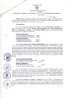 Vista preliminar de documento Resolución Gerencial Sub Regional N° 00010-2019