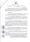 Vista preliminar de documento Resolución Gerencial Sub Regional N° 00004-2019