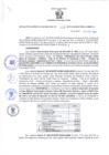 Vista preliminar de documento Resolución Gerencial Sub Regional N° 00110-2019