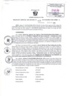 Vista preliminar de documento Resolución Gerencial Sub Regional N° 00115-2019