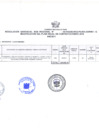 Vista preliminar de documento Resolución Gerencial Sub Regional N° 00171-2019