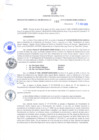 Vista preliminar de documento Resolución Gerencial Sub Regional N° 00182-2019