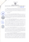 Vista preliminar de documento Resolución Gerencial Sub Regional N° 00209-2019