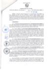 Vista preliminar de documento Resolución Gerencial Sub Regional N° 00219-2019