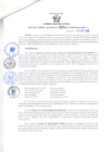 Vista preliminar de documento Resolución Gerencial Sub Regional N° 00223-2019
