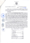 Vista preliminar de documento Resolución Gerencial Sub Regional N° 00236-2019