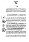 Vista preliminar de documento Resolución Gerencial Sub Regional N° 00265-2019