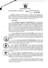 Vista preliminar de documento Resolución Gerencial Sub Regional N° 00274-2019