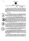 Vista preliminar de documento Resolución Gerencial Sub Regional N° 00313-2019