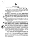 Vista preliminar de documento Resolución Gerencial Sub Regional N° 00355-2019