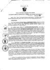 Vista preliminar de documento Resolución Gerencial Sub Regional N° 00006-2020