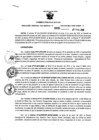 Vista preliminar de documento Resolución Gerencial Sub Regional N° 00009-2020