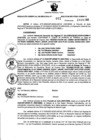Vista preliminar de documento Resolución Gerencial Sub Regional N° 00011-2020