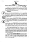 Vista preliminar de documento Resolución Gerencial Sub Regional N° 00012-2020
