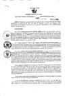 Vista preliminar de documento Resolución Gerencial Sub Regional N° 00022-2020