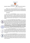 Vista preliminar de documento Resolución Gerencial Sub Regional N° 00096-2020