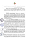Vista preliminar de documento Resolución Gerencial Sub Regional N° 00101-2020