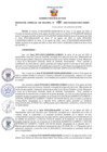 Vista preliminar de documento Resolución Gerencial Sub Regional N° 00103-2020