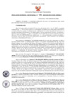 Vista preliminar de documento Resolución Gerencial Sub Regional N° 00110-2020