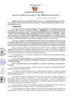 Vista preliminar de documento Resolución Gerencial Sub Regional N° 00132-2020