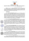 Vista preliminar de documento Resolución Gerencial Sub Regional N° 00135-2020