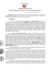 Vista preliminar de documento Resolución Gerencial Sub Regional N° 00142-2020