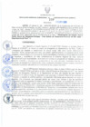 Vista preliminar de documento Resolución Gerencial Sub Regional N° 00157-2020