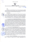 Vista preliminar de documento Resolución Gerencial Sub Regional N° 00156-2020