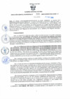 Vista preliminar de documento Resolución Gerencial Sub Regional N° 00160-2020