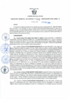 Vista preliminar de documento Resolución Gerencial Sub Regional N° 00162-2020
