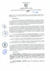 Vista preliminar de documento Resolución Gerencial Sub Regional N° 00167-2020