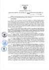 Vista preliminar de documento Resolución Gerencial Sub Regional N° 00168-2020