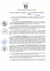 Vista preliminar de documento Resolución Gerencial Sub Regional N° 00174-2020
