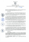 Vista preliminar de documento Resolución Gerencial Sub Regional N° 00175-2020