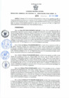 Vista preliminar de documento Resolución Gerencial Sub Regional N° 00180-2020