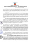 Vista preliminar de documento Resolución Gerencial Sub Regional N° 00195-2020