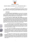 Vista preliminar de documento Resolución Gerencial Sub Regional N° 00019-2021